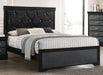 Crown Mark Amalia Queen Panel Bed in Black B6918-Q image